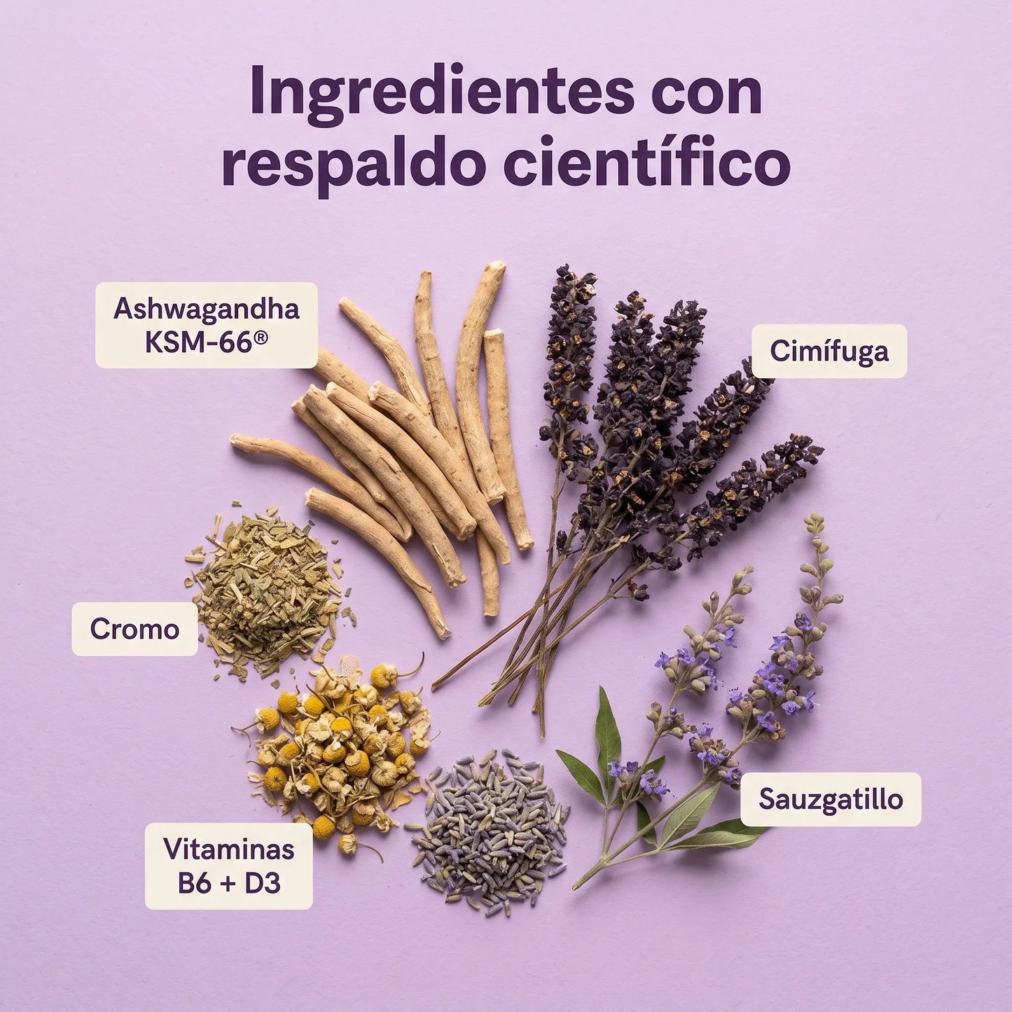 Menopausia RK™ - Cápsulas Vitaminicas